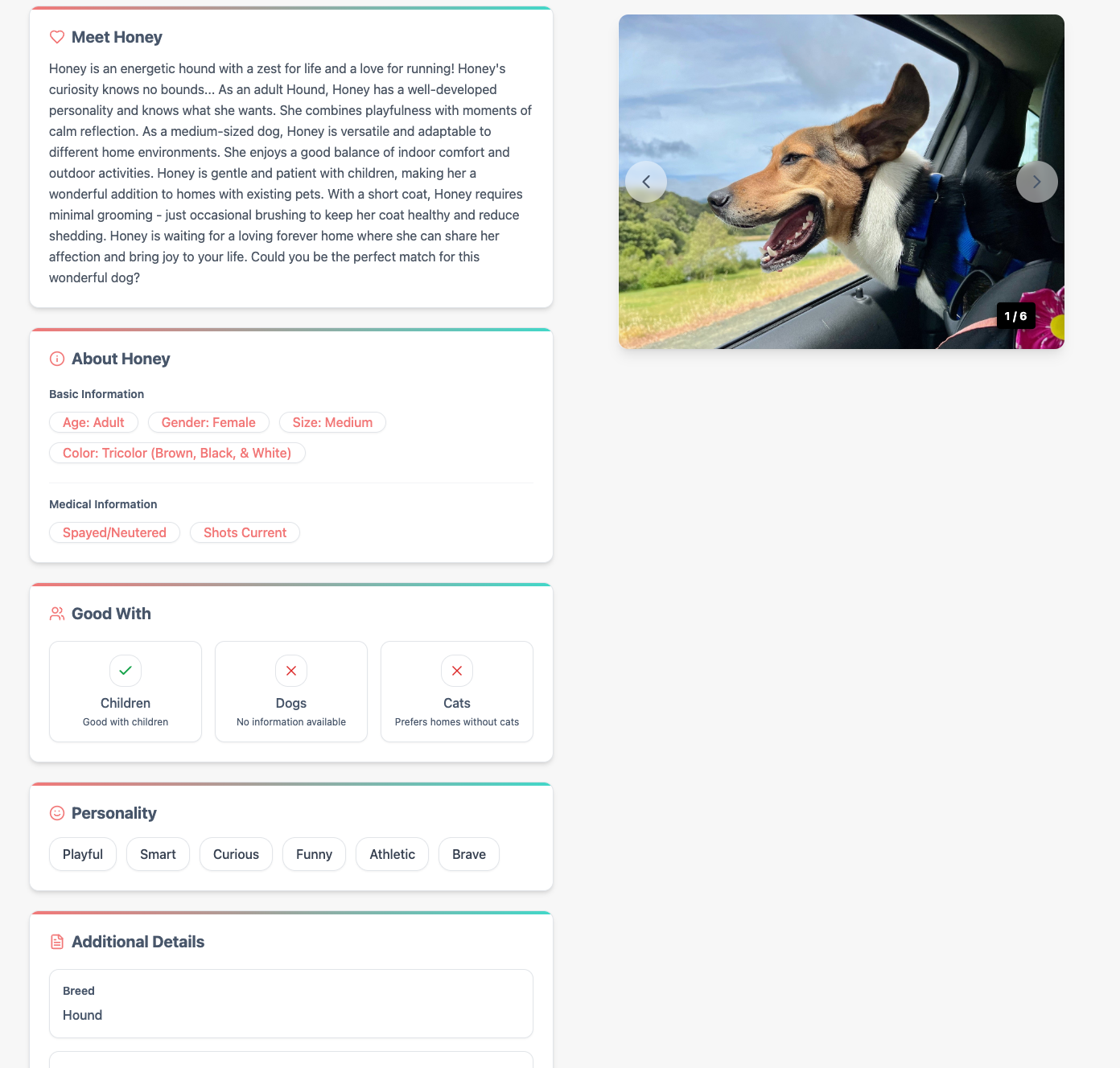 Pet details page showing comprehensive information