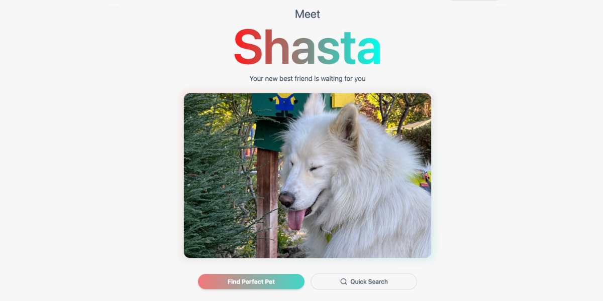 FindMePet: AI-Powered Pet Adoption