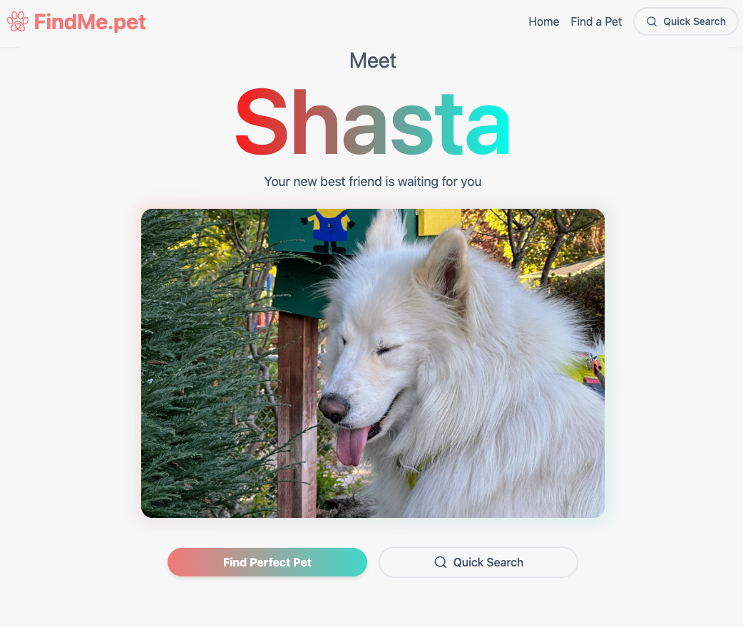 Landing page featuring Shasta, the inspiration behind FindMePet